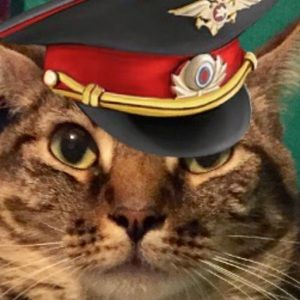 Meet your Posher, Tessa